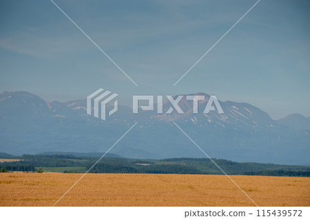 Golden wheat fields and mountains in summer Daisetsuzan Golden wheat fields and mountains in summer Daisetsuzan 115439572