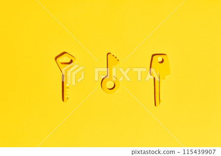 Yellow keys on vibrant yellow background 115439907