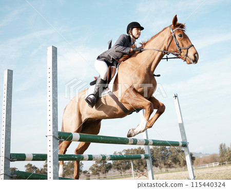 Woman, horse and show jumping on ranch or farm for event, training and sport or competition. Fitness, animal and female jockey in countryside for course, dressage and performance in arena in Texas Woman, horse and show jumping on ranch or farm for event, training and sport or competition. Fitness, animal and female jockey in countryside for course, dressage and performance in arena in Texas 115440324