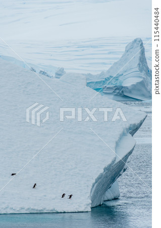 Four Gentoo Penguins on an Iceberg Four Gentoo Penguins on an Iceberg 115440484