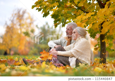 Happy senior woman and man in park 115440847