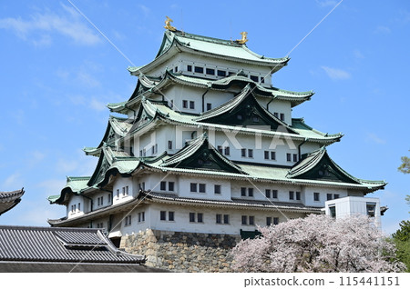 Nagoya Castle tower and cherry blossoms 115441151