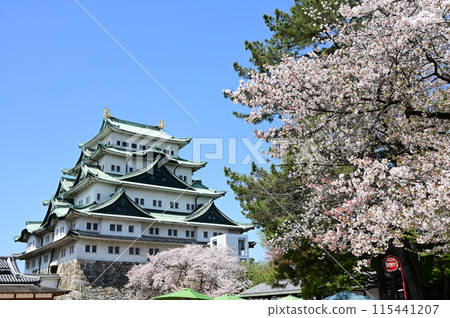 Nagoya Castle tower and cherry blossoms 115441207