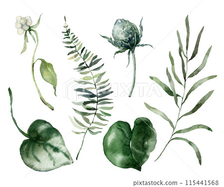 Watercolor floral set of clover, tree branch and grass. Hand drawn plants elements isolated on white background. Outdoor illustration for design, print, fabric or background. Watercolor floral set of clover, tree branch and grass. Hand drawn plants elements isolated on white background. Outdoor illustration for design, print, fabric or background. 115441568