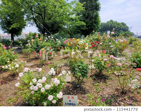 Roadside Station Menuma Rose Garden (Kumagaya City, Saitama Prefecture) 115441779