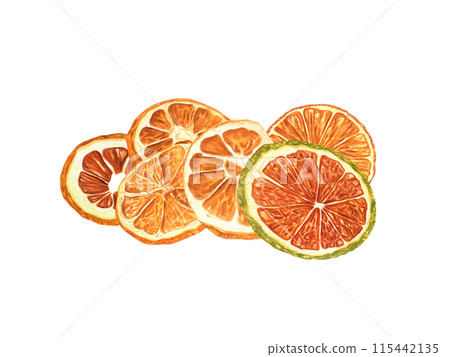 Dried Orange slices. Fruit citrus piece heap. Watercolor illustration. Mulled wine or alcohol free drinks. For package of cosmetic or food. Natural Christmas decoration. New Year concept Dried Orange slices. Fruit citrus piece heap. Watercolor illustration. Mulled wine or alcohol free drinks. For package of cosmetic or food. Natural Christmas decoration. New Year concept 115442135