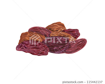 Golden and Red Raisin Pile. Raw organic dried grapes. Sweet mix raisins. Delicious vegan dessert. Watercolor illustration of healthy snack. Dry fruits for bakery. Xmas drink decoration 115442137