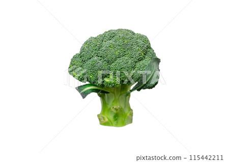 Green fresh Broccoli isolated on white background top view 115442211