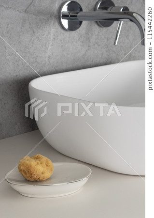 Minimalist Bathroom with Sponge 115442260