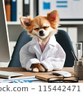 Chihuahua under study 115442471