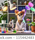 Chihuahua under study 115442483