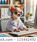 Chihuahua under study 115442492