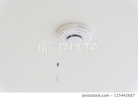 Ceiling-mounted residential fire alarm 115442687