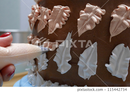 Confectioner woman is pouring cream on sponge cake using pastry bag, closeup view. Pastry chef is cooking homemade cake. cooking, baking and cooking, home cooking Confectioner woman is pouring cream on sponge cake using pastry bag, closeup view. Pastry chef is cooking homemade cake. cooking, baking and cooking, home cooking 115442734
