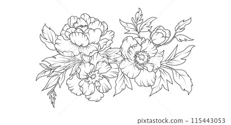 Peony flower arrangement line art on white background. Silhouette botanical hand drawn element for wedding, invitation frame design, vector illustration Peony flower arrangement line art on white background. Silhouette botanical hand drawn element for wedding, invitation frame design, vector illustration 115443053