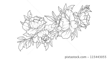 Peony flower arrangement line art on white background. Silhouette botanical hand drawn element for wedding, invitation frame design, vector illustration Peony flower arrangement line art on white background. Silhouette botanical hand drawn element for wedding, invitation frame design, vector illustration 115443055