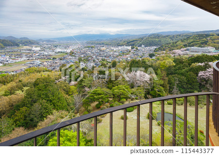 伊豆大神街景 伊豆大神街景 115443377