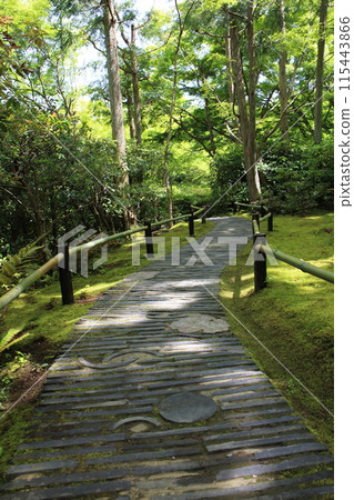 京都大河內山莊庭園小路 京都大河內山莊庭園小路 115443866