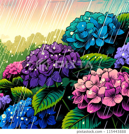 雨季繡球花 115443888