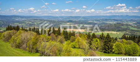 A panoramic view of the Krkonose mountains from Kozakov Mountain in the Bohemian Paradise, Czechia. The image captures a sunny day with a clear sky and rolling green hills. 115443889