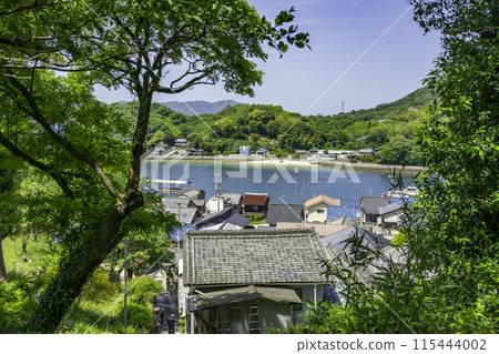 Ikuchijima, Takanejima Island as seen from Kojoji Temple, Onomichi City, Hiroshima Prefecture 115444002