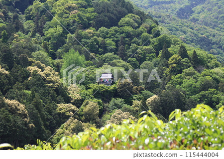 從京都大河內山莊花園看到的千光寺 115444004