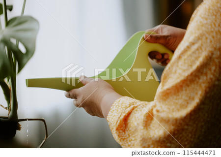 Close up photo of lime colored watering pot in hands of unrecognizable African American woman, water running from watering pots spout Close up photo of lime colored watering pot in hands of unrecognizable African American woman, water running from watering pots spout 115444471