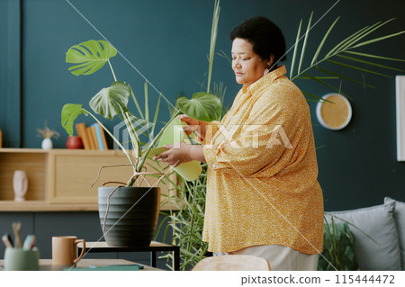 African American housewife watering plant focusing on process African American housewife watering plant focusing on process 115444472