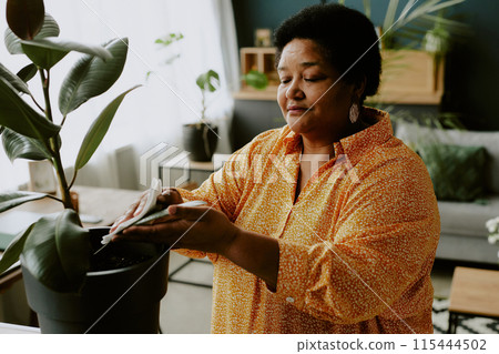 African American woman wiping green rubber fig with calmness on her face 115444502