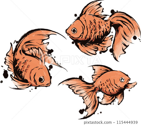 Goldfish Goldfish 115444939