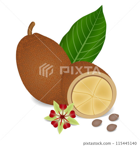 Whole cupuacu cacao fruit with leaf slice and flower isolated on white background. 115445140