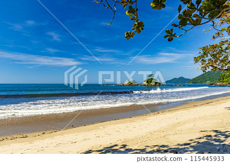 Wild beach of Castelhanos in Ilhabela 115445933