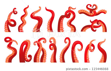 Octopus tentacles set. Cartoon body parts, ocean squid elements. Seafood, marine restaurant symbols. Underwater animals, neoteric vector set Octopus tentacles set. Cartoon body parts, ocean squid elements. Seafood, marine restaurant symbols. Underwater animals, neoteric vector set 115446088