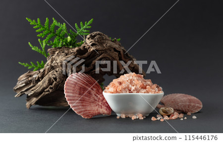 Pink himalayan salt with snags, green thuja branches, and seashells. 115446176