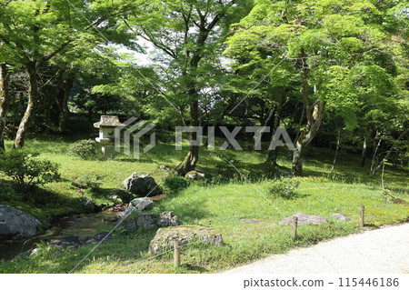 Garden and fresh greenery at Shugakuin Imperial Villa, Kyoto 115446186