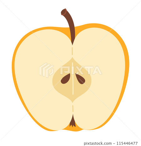 Yellow apple cut in half. Hand drawn Trendy flat style 115446477