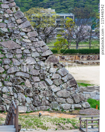 A view of Okayama Castle's powerful stone walls 115446542