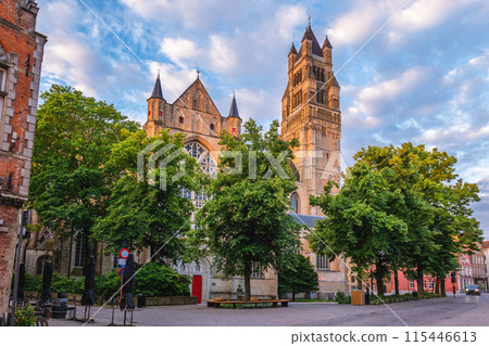 St Salvators Cathedral, aka Cathedral of the Saviour and St. Donat, in Bruges, Belgium 115446613