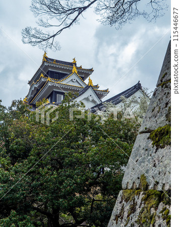 Okayama Castle, with its powerful final boss vibe, under dark clouds Okayama Castle, with its powerful final boss vibe, under dark clouds 115446677