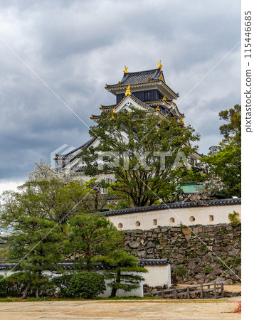 強大的岡山城，烏雲下有最終boss的感覺 115446685