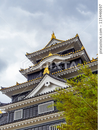 強大的岡山城，烏雲下有最終boss的感覺 115446697