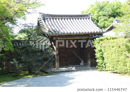 京都修學院離宮舊表門總門與新綠 115446747