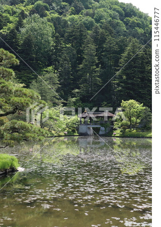 Kyoto Shugakuin Imperial Villa: Yokuryu Pond and Chitose Bridge Kyoto Shugakuin Imperial Villa: Yokuryu Pond and Chitose Bridge 115446777