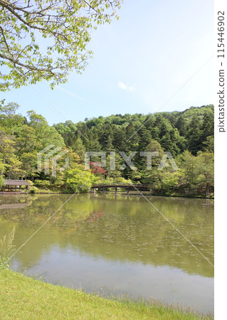 京都修學院離宮、湯龍池和新綠 京都修學院離宮、湯龍池和新綠 115446902