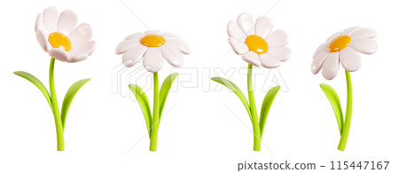 Daisy plastic flower with white petals, green stem and leaf in different angles of view cartoon icon 3d render illustration. Chamomile bubble bloom for spring and summer design. Glossy balloon blossom Daisy plastic flower with white petals, green stem and leaf in different angles of view cartoon icon 3d render illustration. Chamomile bubble bloom for spring and summer design. Glossy balloon blossom 115447167