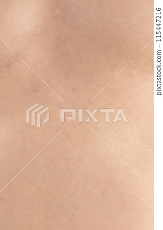 Clean soft cream color human skin Clean soft cream color human skin 115447216