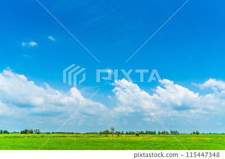beautiful airatmosphere bright blue sky background abstract clear texture with white clouds. beautiful airatmosphere bright blue sky background abstract clear texture with white clouds. 115447348