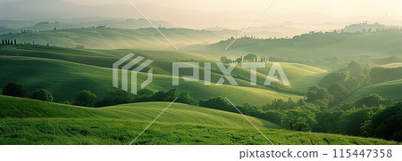 Serene Summer Vistas: Cinematic Documentary Photography of Rolling Green Hills in Late Afternoon Sunlight 115447358