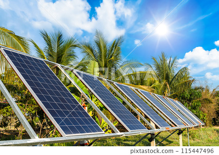 photovoltaic solar power panel for agriculture in a rural houses area Agricultural fields blue sky background,Agro-industry of household Rural style in Thailand, smart farm alternative clean energy. 115447496
