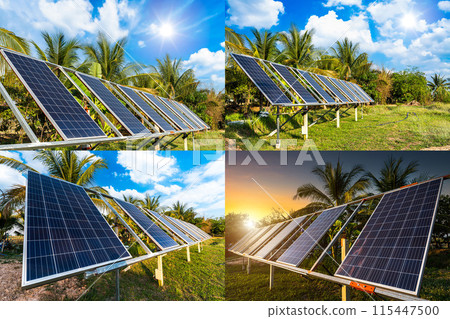 Four multi patterns photovoltaic solar power panel for agriculture in a rural houses area Agricultural fields blue sky background,Agro-industry of household, smart farm alternative clean energy. 115447500